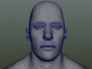 male human anatomy high poly 3D 모델