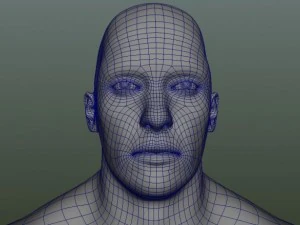 male human anatomy high poly 3D Model