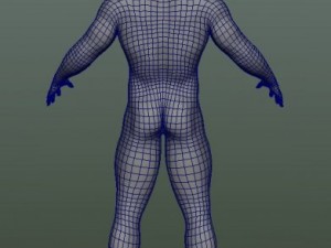 male human anatomy high poly 3D 모델