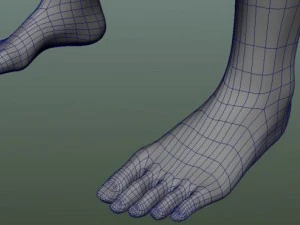 male human anatomy high poly 3D Model