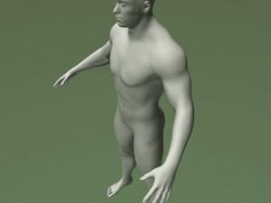 male human anatomy high poly 3D 모델