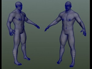 male human anatomy high poly 3D 모델