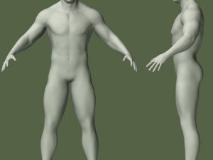male human anatomy high poly 3D 모델