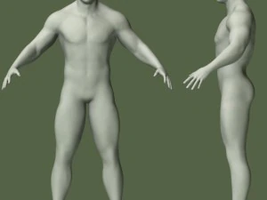 male human anatomy high poly 3D Model