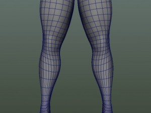 male human anatomy high poly 3D 모델