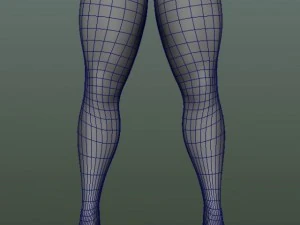male human anatomy high poly 3D Model