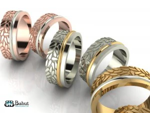 rings wedding 2 rings 3D Model