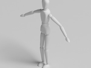 Dummy base body 3D Model
