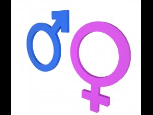 s&iacute;mbolos de g&ecirc;nero Modelo 3D