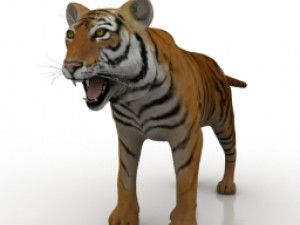 tiger Modèle 3D