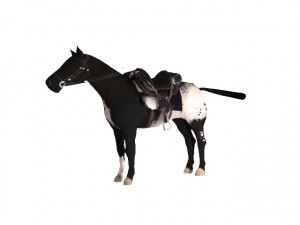 horse Modèle 3D