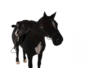 horse 3D 모델