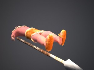 wild human 3D Model