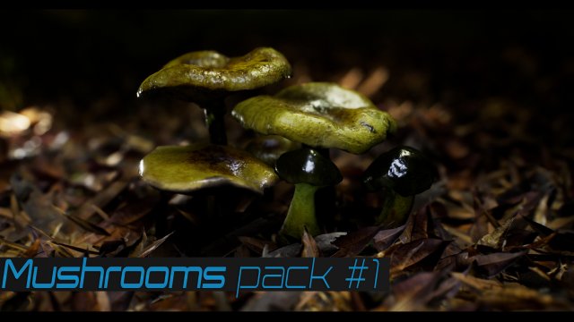 mushroom pack 1 Model 3D .c4d .max .obj .3ds .fbx .stl .blend 