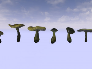 mushroom pack 1 Model 3D