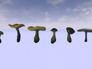 mushroom pack 1 3D Model