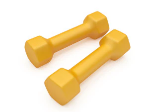 dumbbell 3D Model