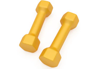 dumbbell 3D Model