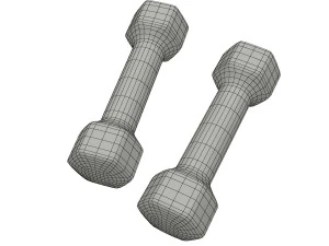 dumbbell 3D Model
