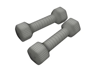 dumbbell 3D Model