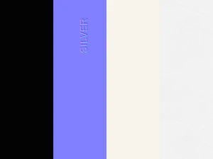 lingot d'argent Modèle 3D