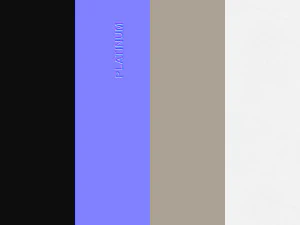 lingotto di platino Modello 3D