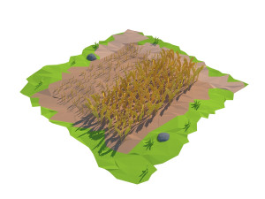 cartoon field 3D Model