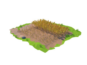 cartoon field 3D Model