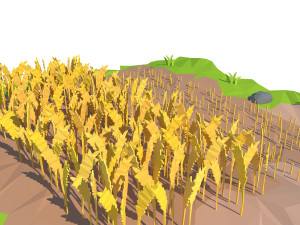 cartoon field 3D Model