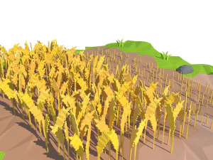 cartoon field 3D Model