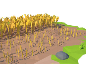 cartoon field 3D Model
