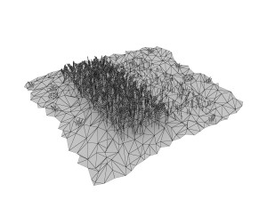 cartoon field 3D Model