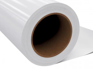 Film roll 3D Model