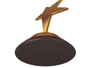 star award 3D Model