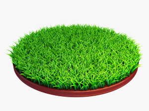 grass vrayfur 3ds max 3D Model