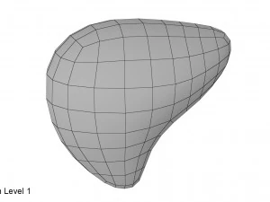 fegato Modello 3D