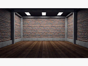 int&eacute;rieur de la pi&egrave;ce vide 05 Modèle 3D