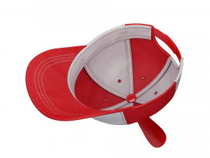 propeller hat 3D Model