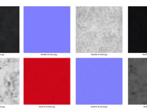 소화 시스템 3D 모델