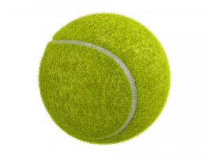 tennis ball 3D Model