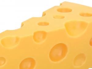 치즈 조각 3D 모델