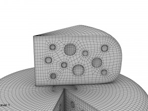cheese wheel and piece Modèle 3D