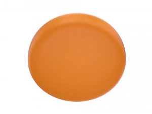 cheese wheel full 3D Model