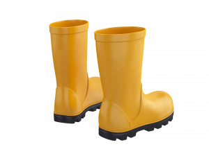 rubber boots 3D Model
