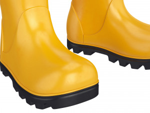 rubber boots 3D Model