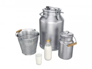 set di contenitori per il latte Modello 3D