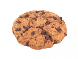 chocolate chip cookie 01 Model 3D