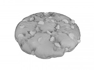 chocolate chip cookie 01 Model 3D