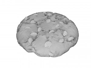 chocolate chip cookie 01 Model 3D