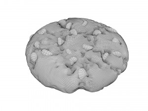 chocolate chip cookie 01 Model 3D